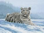 арт. 5678-1011 Набор для вышивания MAIA "Сибирский тигр" (Siberian Tiger)
