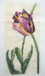 арт. RHS105 Набор для вышивания Anchor "Тюльпан" (Tulip)